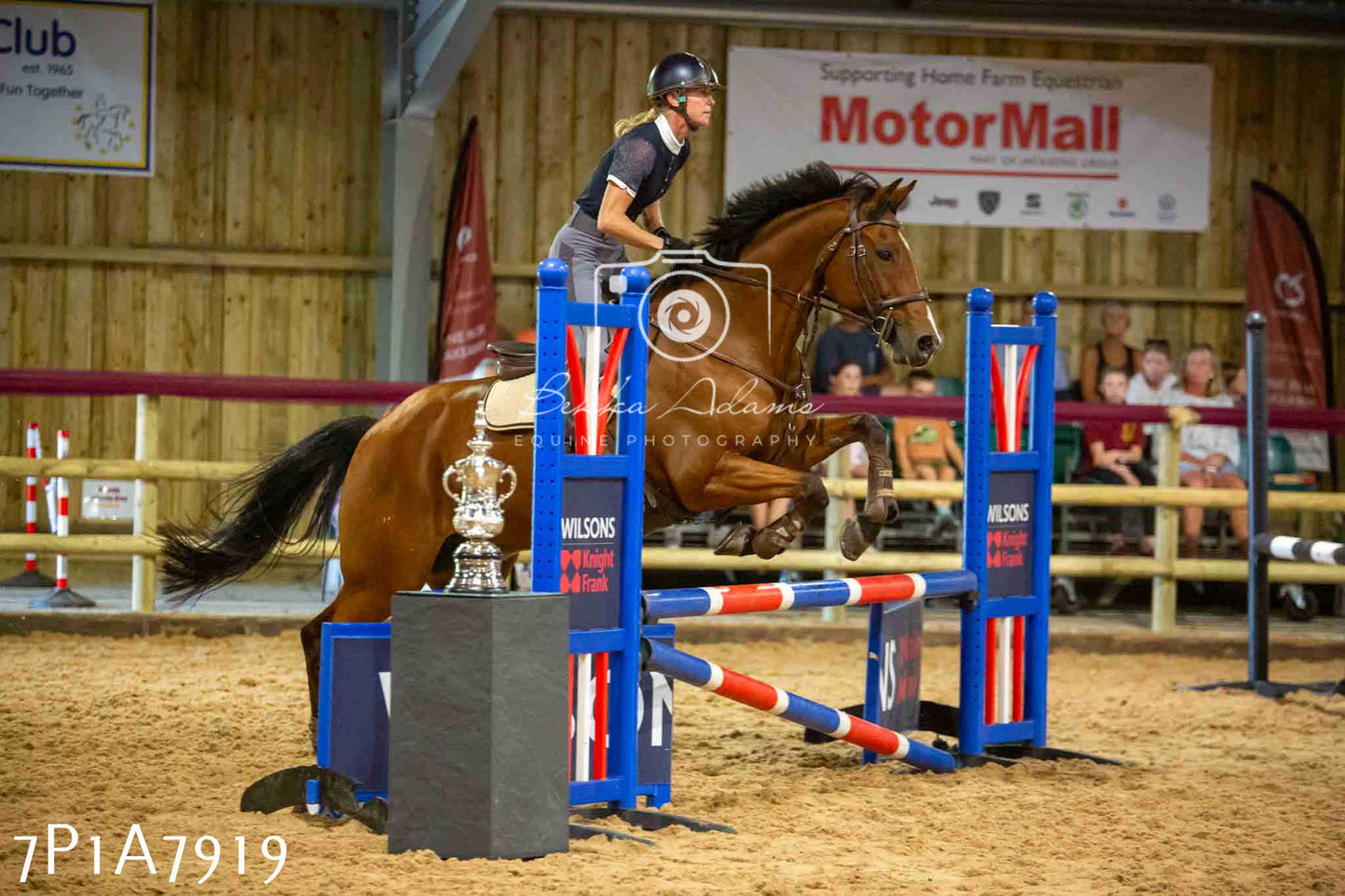 JHOYS 2023 - 17th September - Show Jumping Pt2