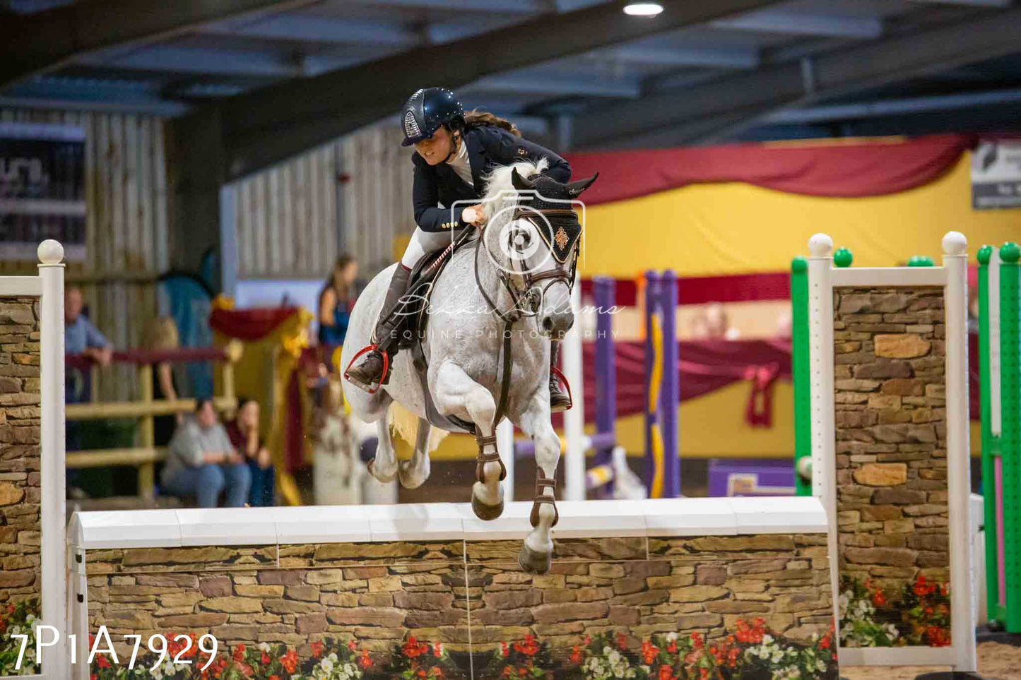 JHOYS 2023 - 17th September - Show Jumping Pt2