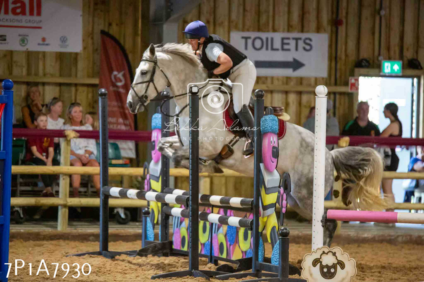 JHOYS 2023 - 17th September - Show Jumping Pt2