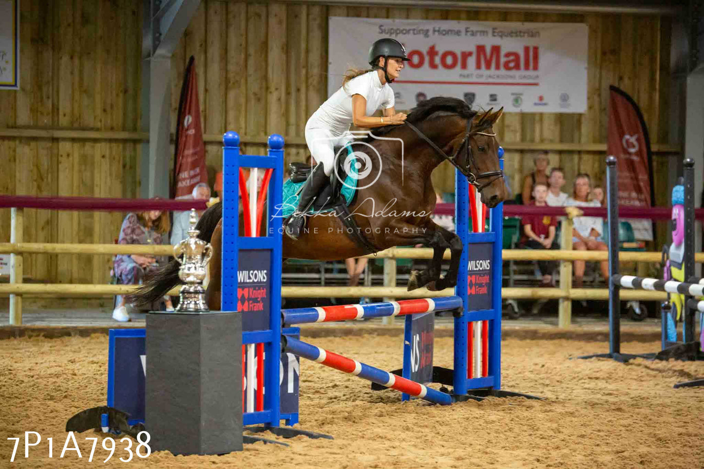 JHOYS 2023 - 17th September - Show Jumping Pt2