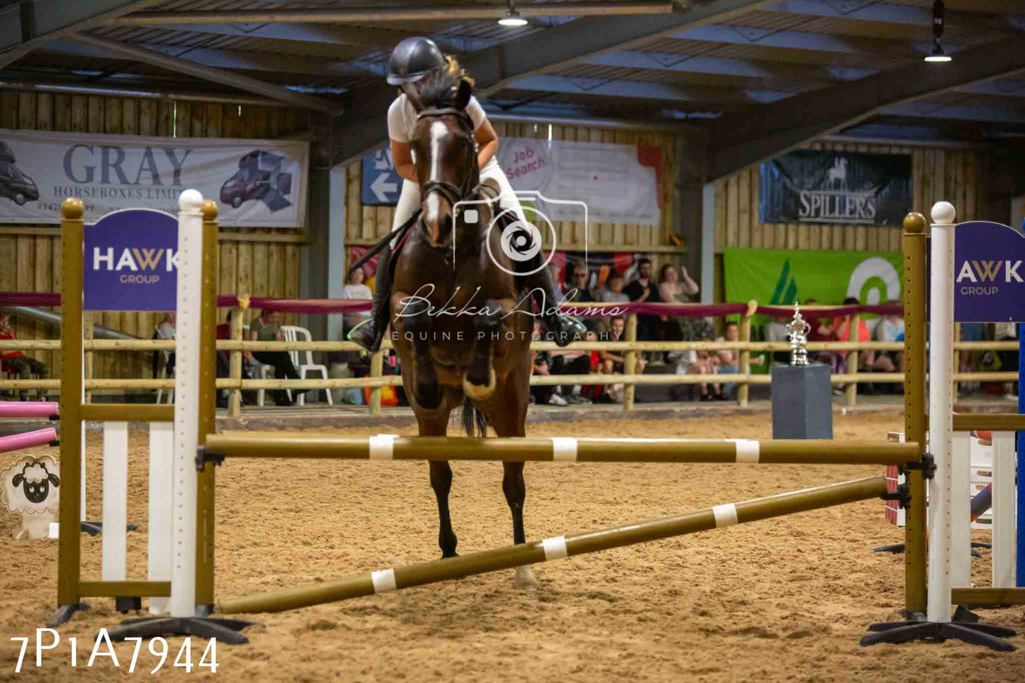 JHOYS 2023 - 17th September - Show Jumping Pt2