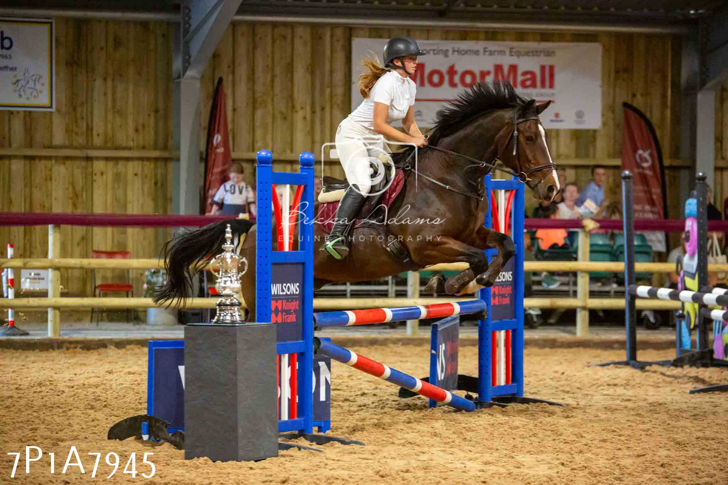 JHOYS 2023 - 17th September - Show Jumping Pt2