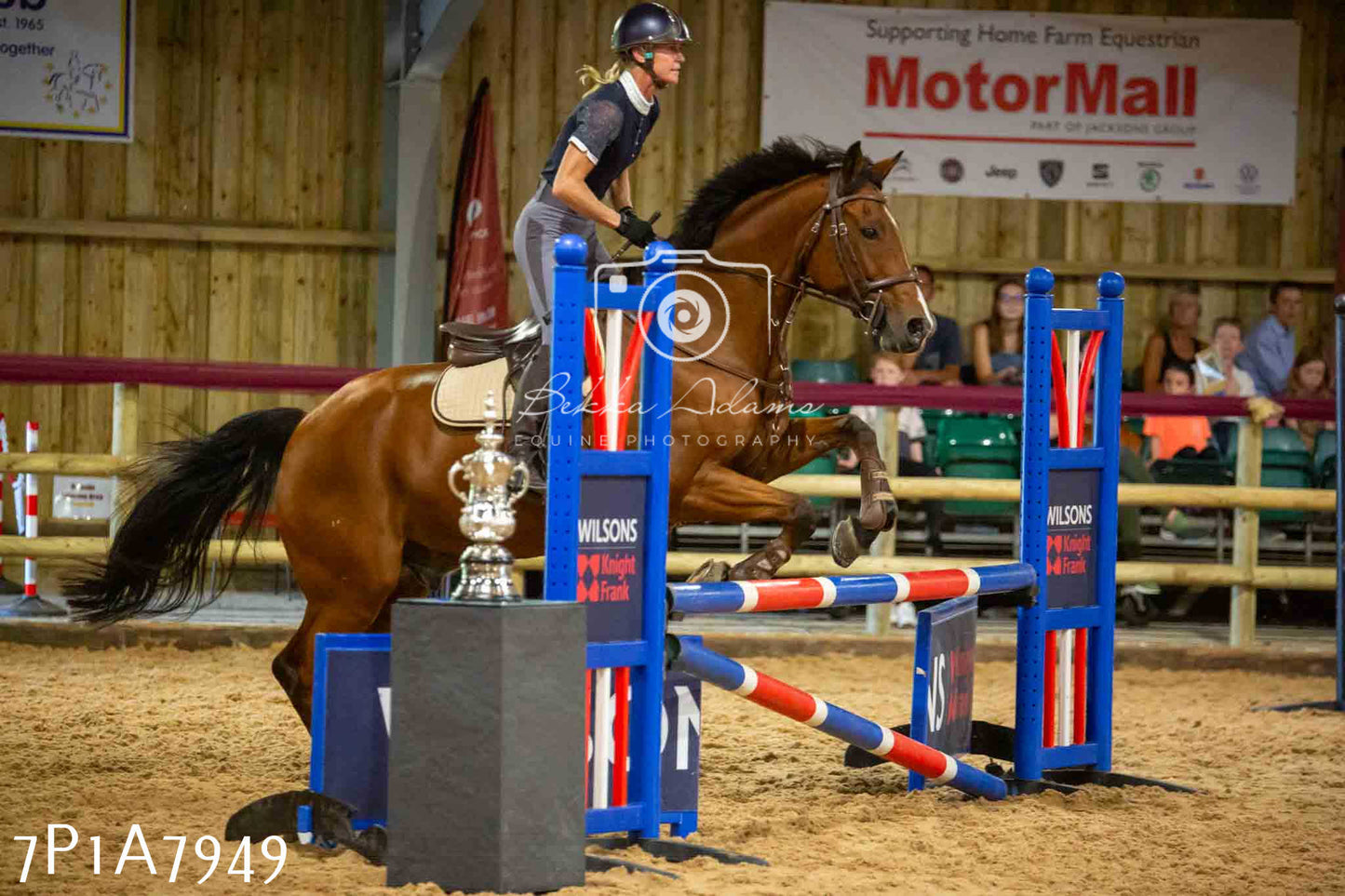 JHOYS 2023 - 17th September - Show Jumping Pt2