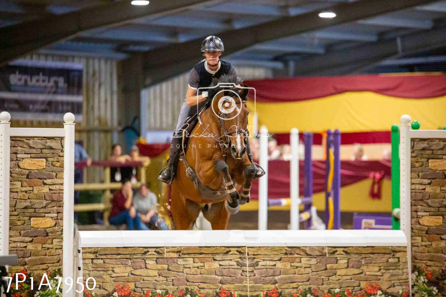 JHOYS 2023 - 17th September - Show Jumping Pt2