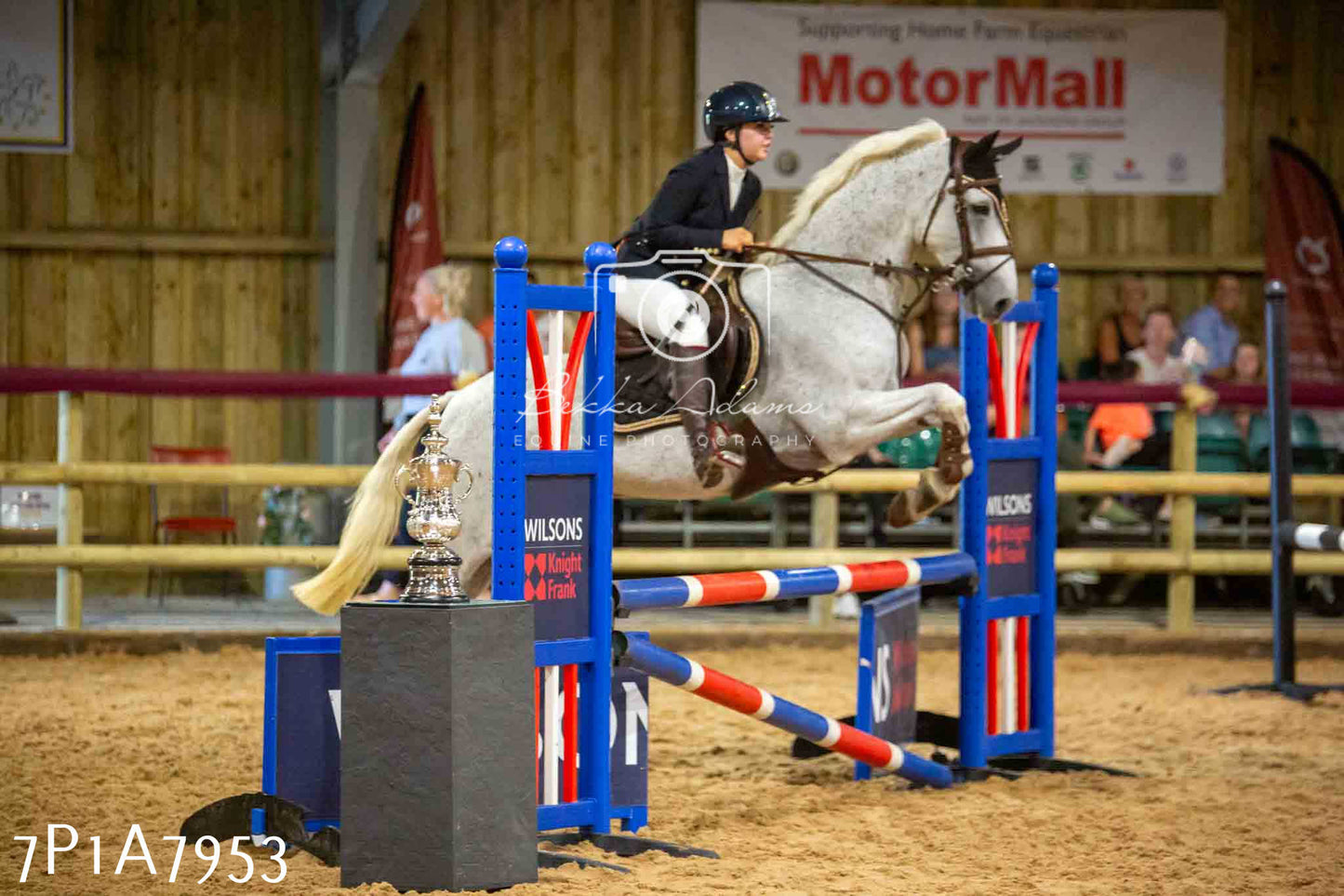 JHOYS 2023 - 17th September - Show Jumping Pt2