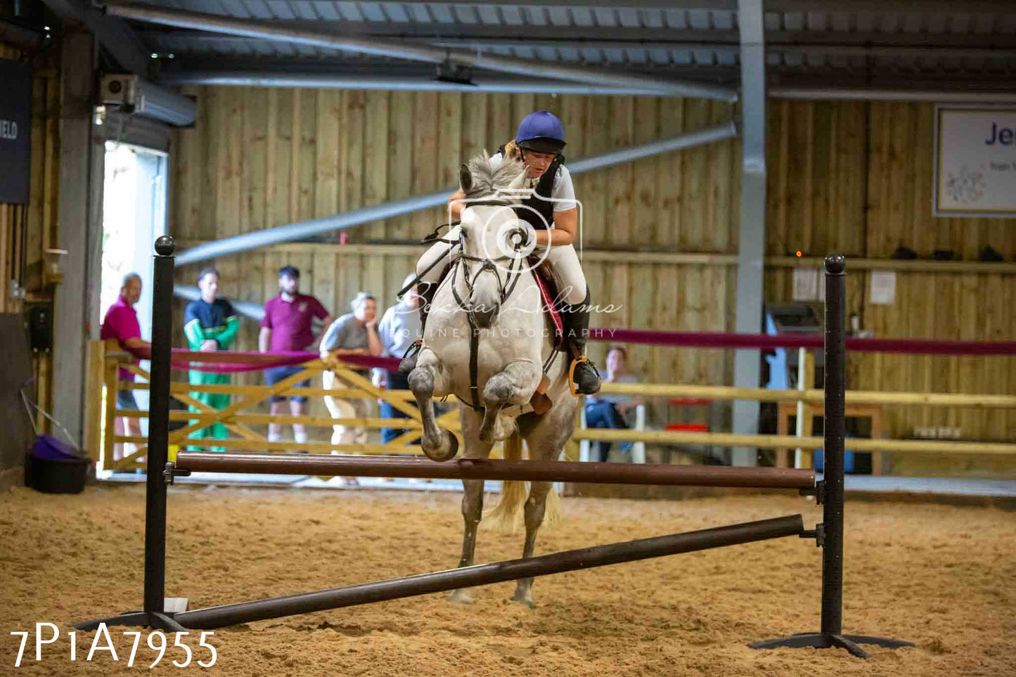 JHOYS 2023 - 17th September - Show Jumping Pt2