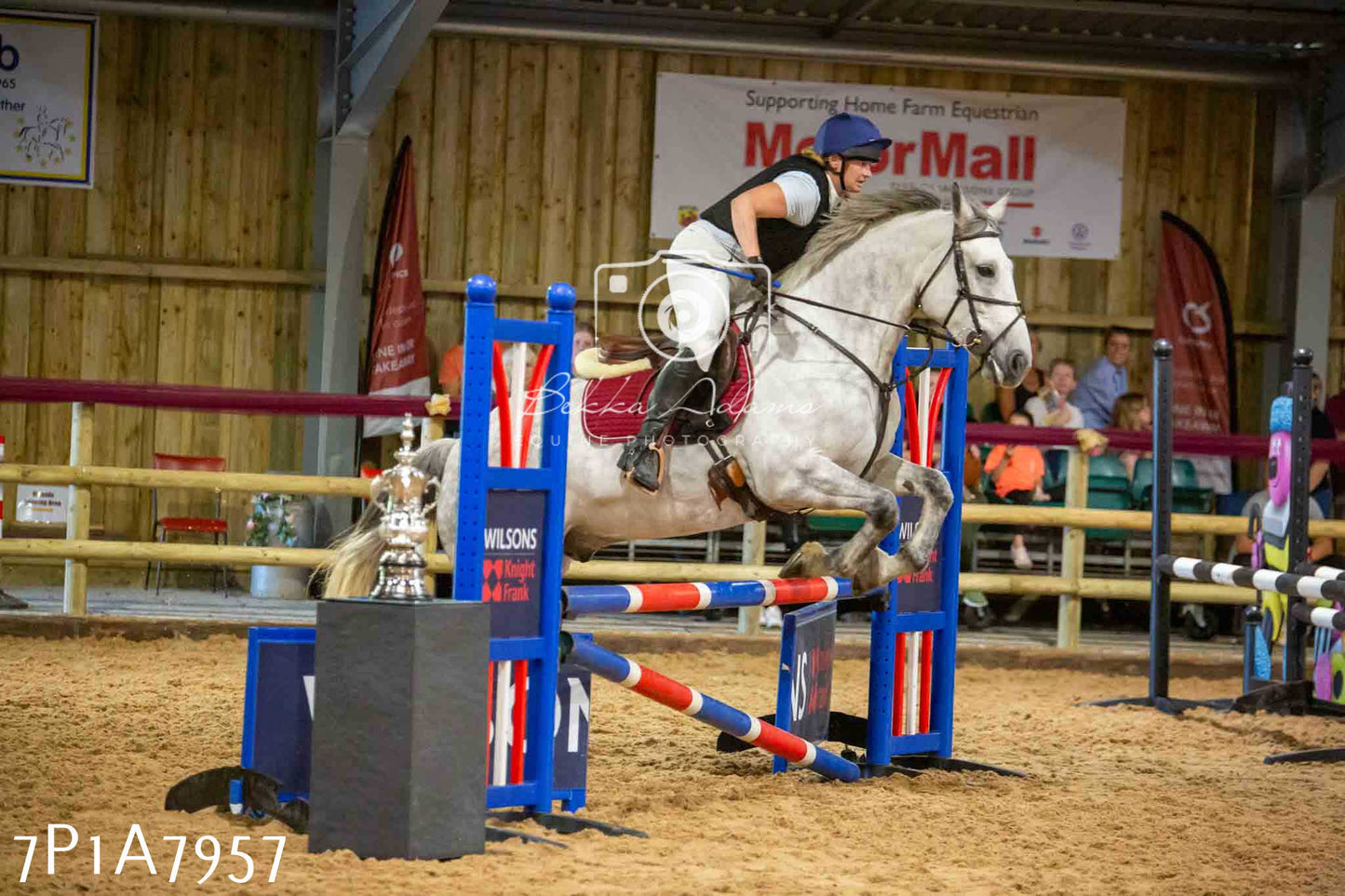 JHOYS 2023 - 17th September - Show Jumping Pt2