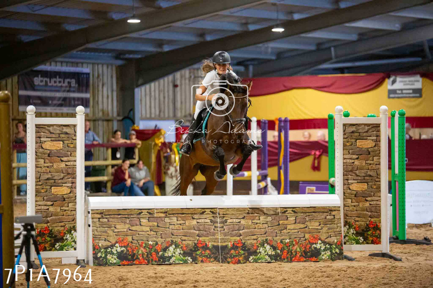 JHOYS 2023 - 17th September - Show Jumping Pt2