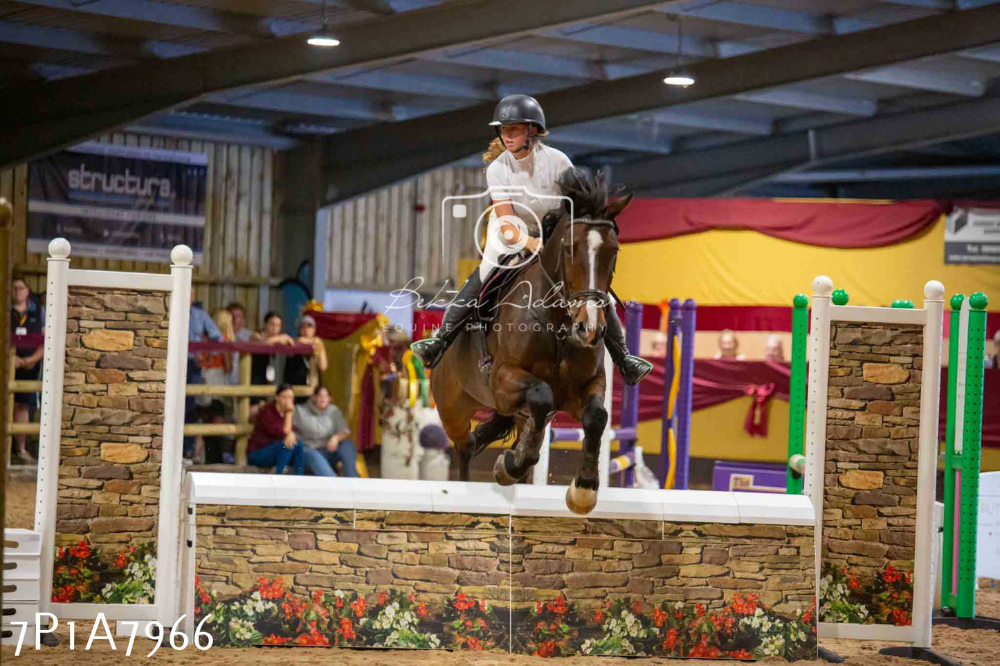 JHOYS 2023 - 17th September - Show Jumping Pt2