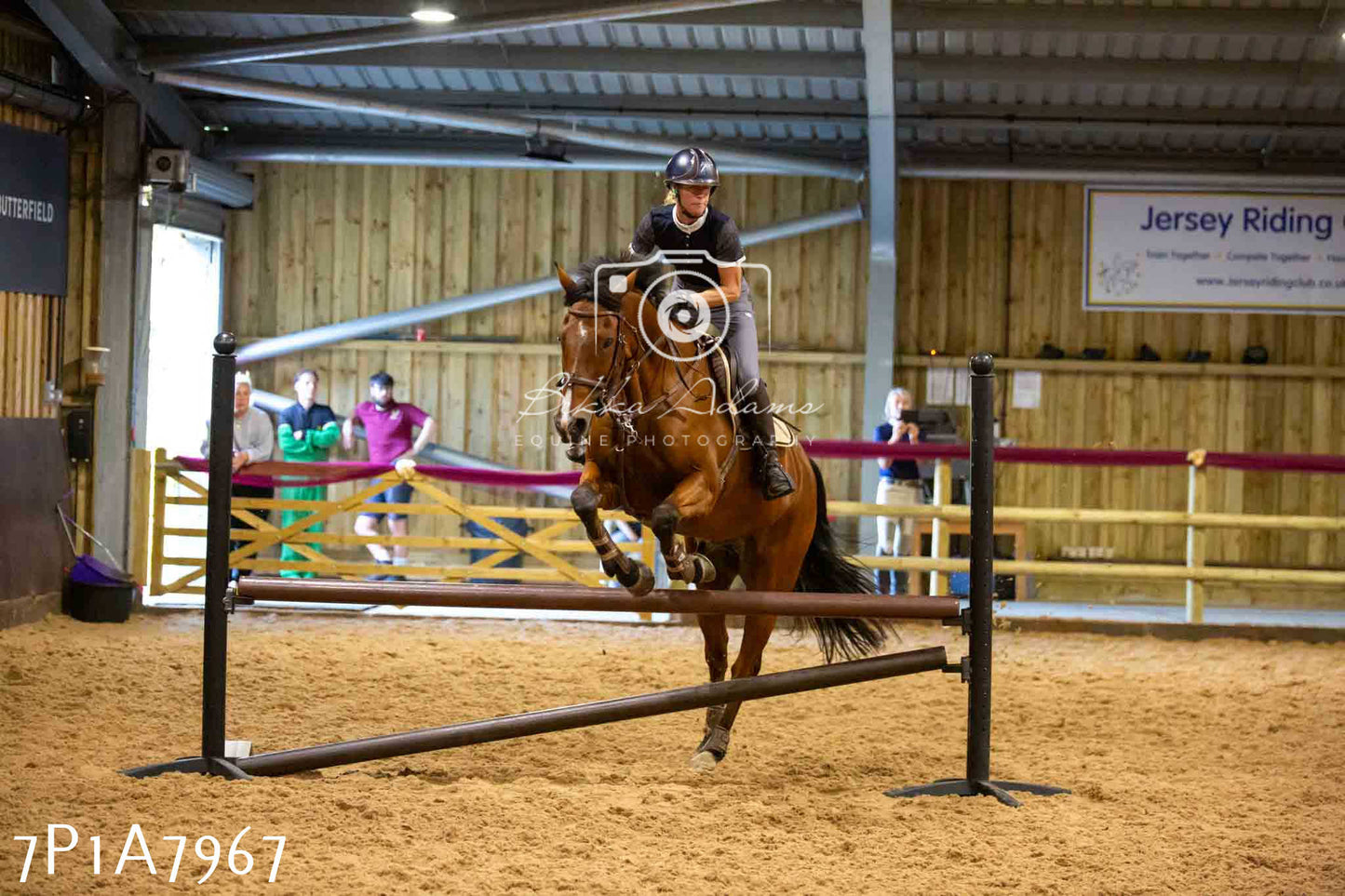 JHOYS 2023 - 17th September - Show Jumping Pt2