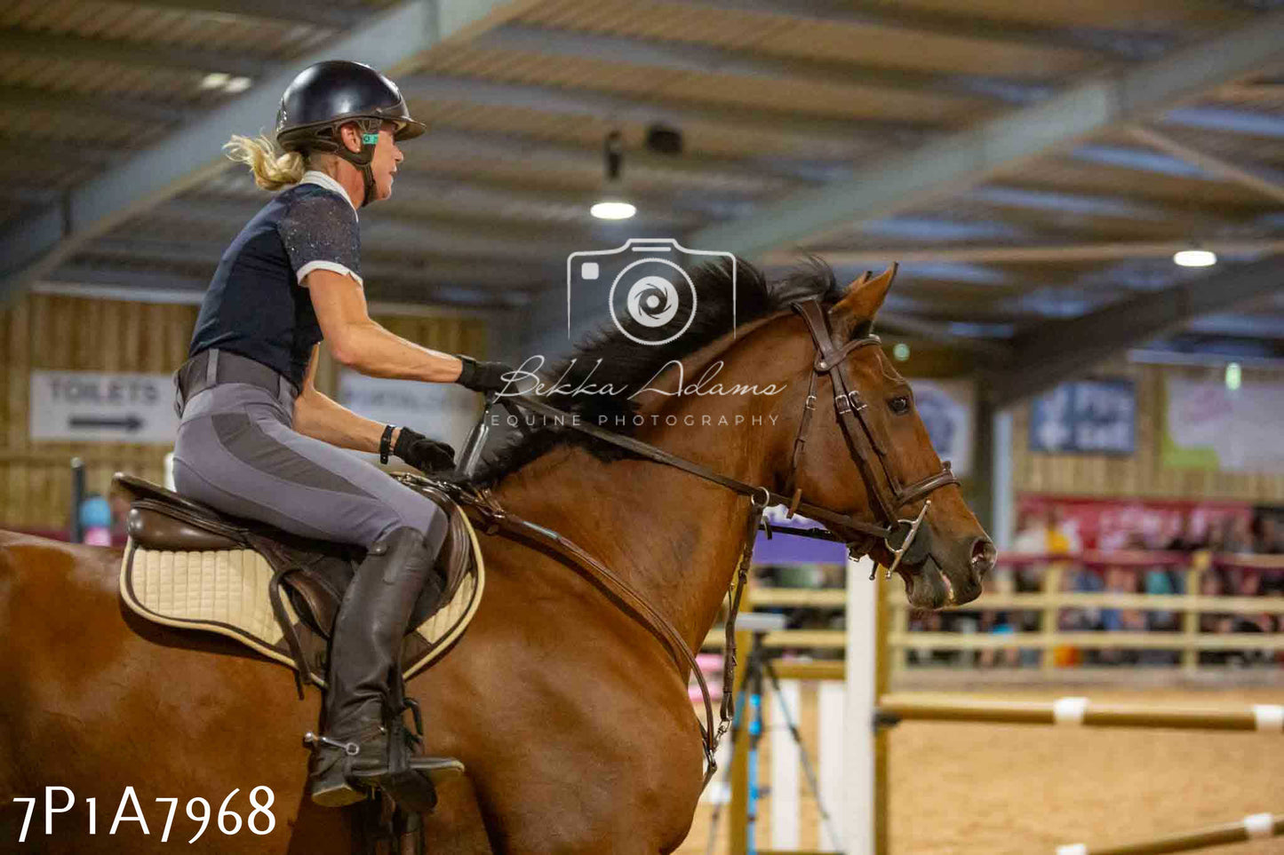 JHOYS 2023 - 17th September - Show Jumping Pt2