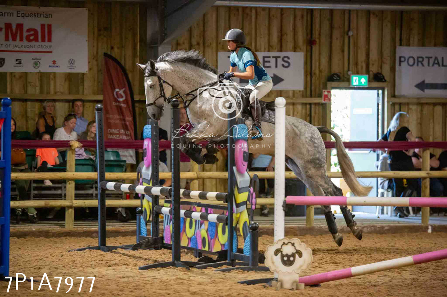 JHOYS 2023 - 17th September - Show Jumping Pt2