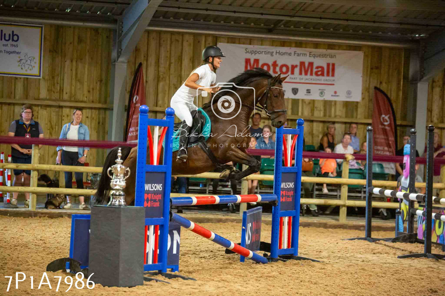 JHOYS 2023 - 17th September - Show Jumping Pt2