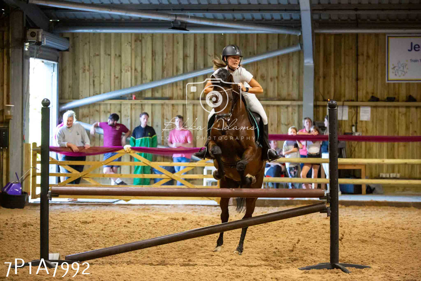 JHOYS 2023 - 17th September - Show Jumping Pt2