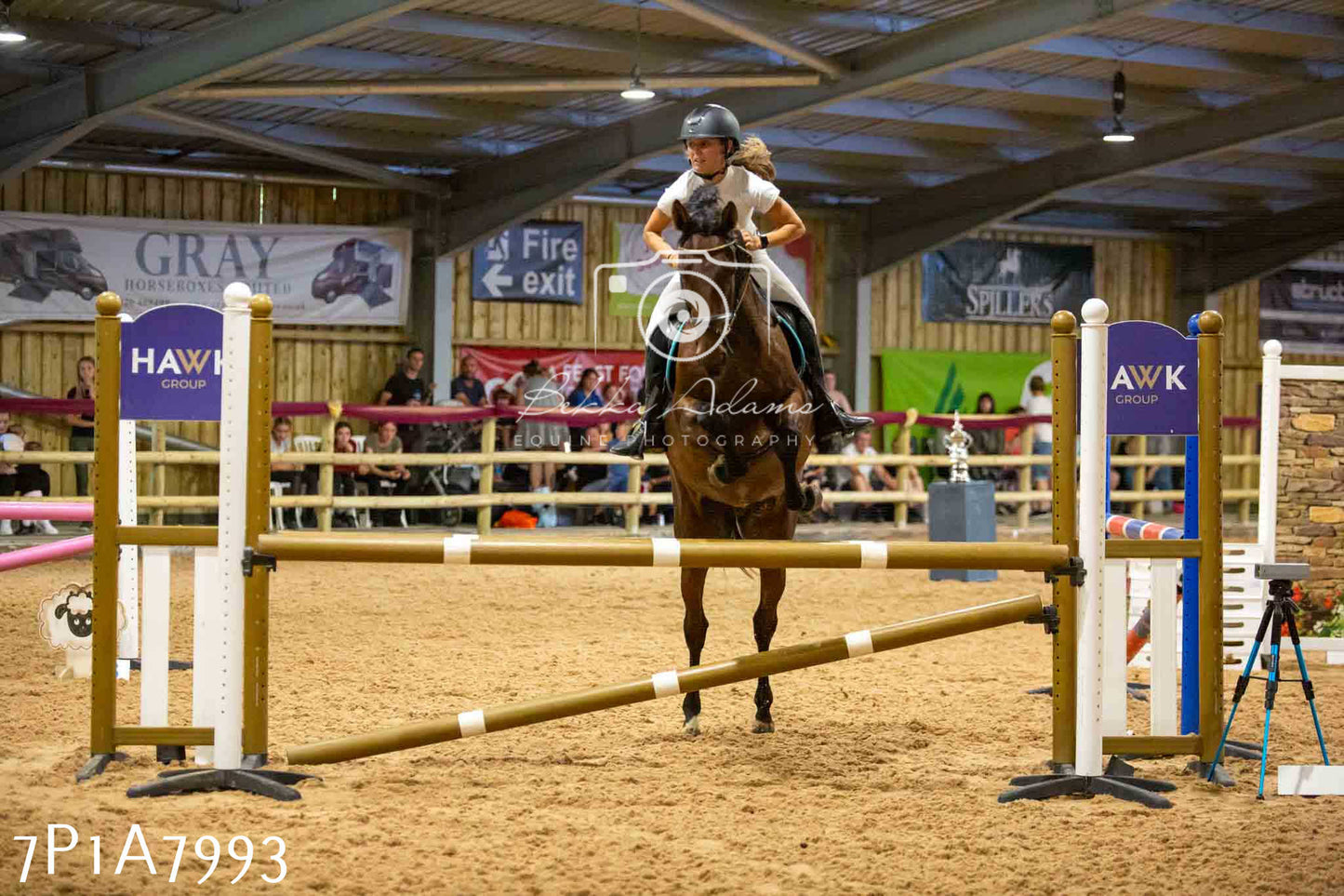 JHOYS 2023 - 17th September - Show Jumping Pt2