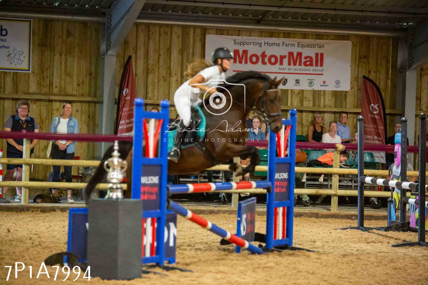 JHOYS 2023 - 17th September - Show Jumping Pt2