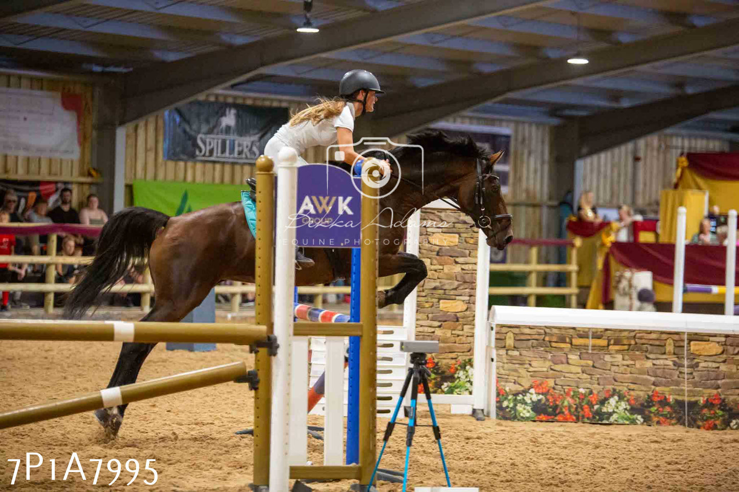 JHOYS 2023 - 17th September - Show Jumping Pt2