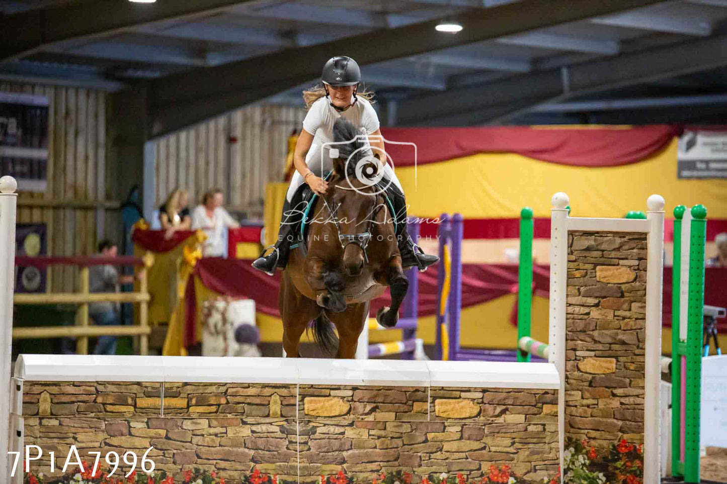 JHOYS 2023 - 17th September - Show Jumping Pt2