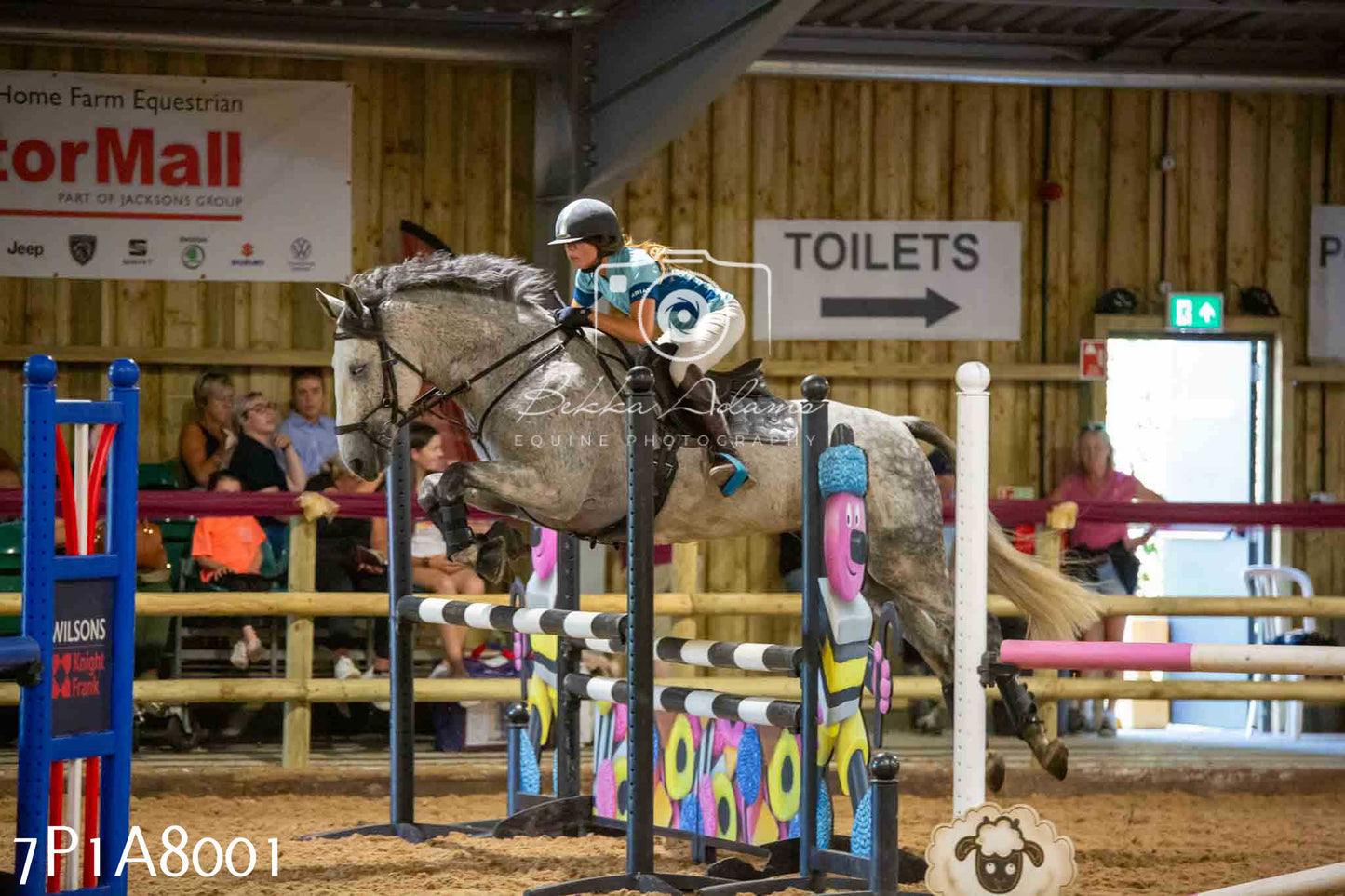 JHOYS 2023 - 17th September - Show Jumping Pt2