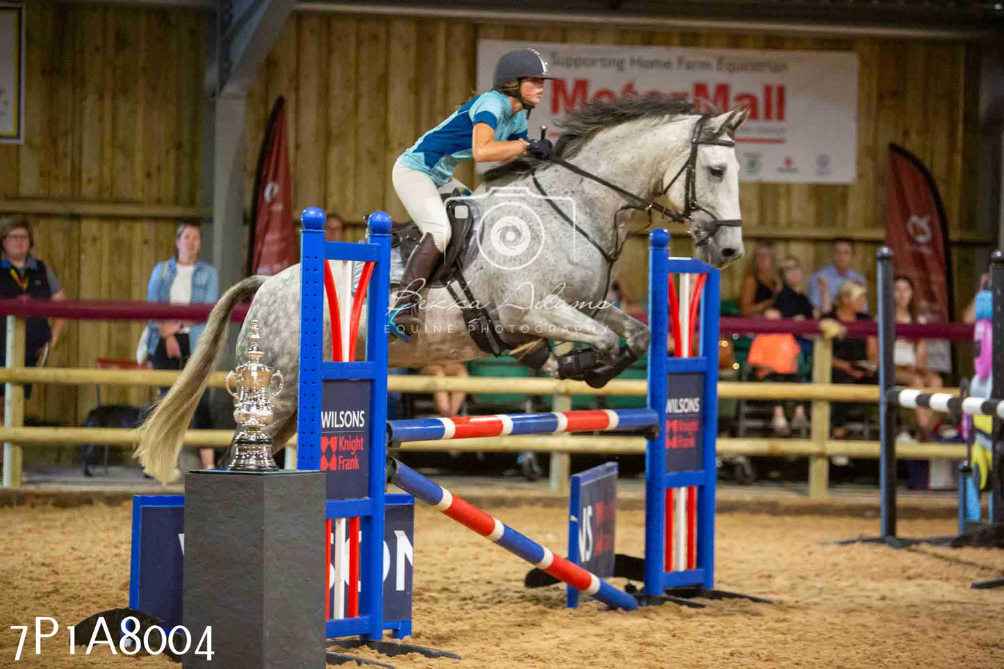 JHOYS 2023 - 17th September - Show Jumping Pt2