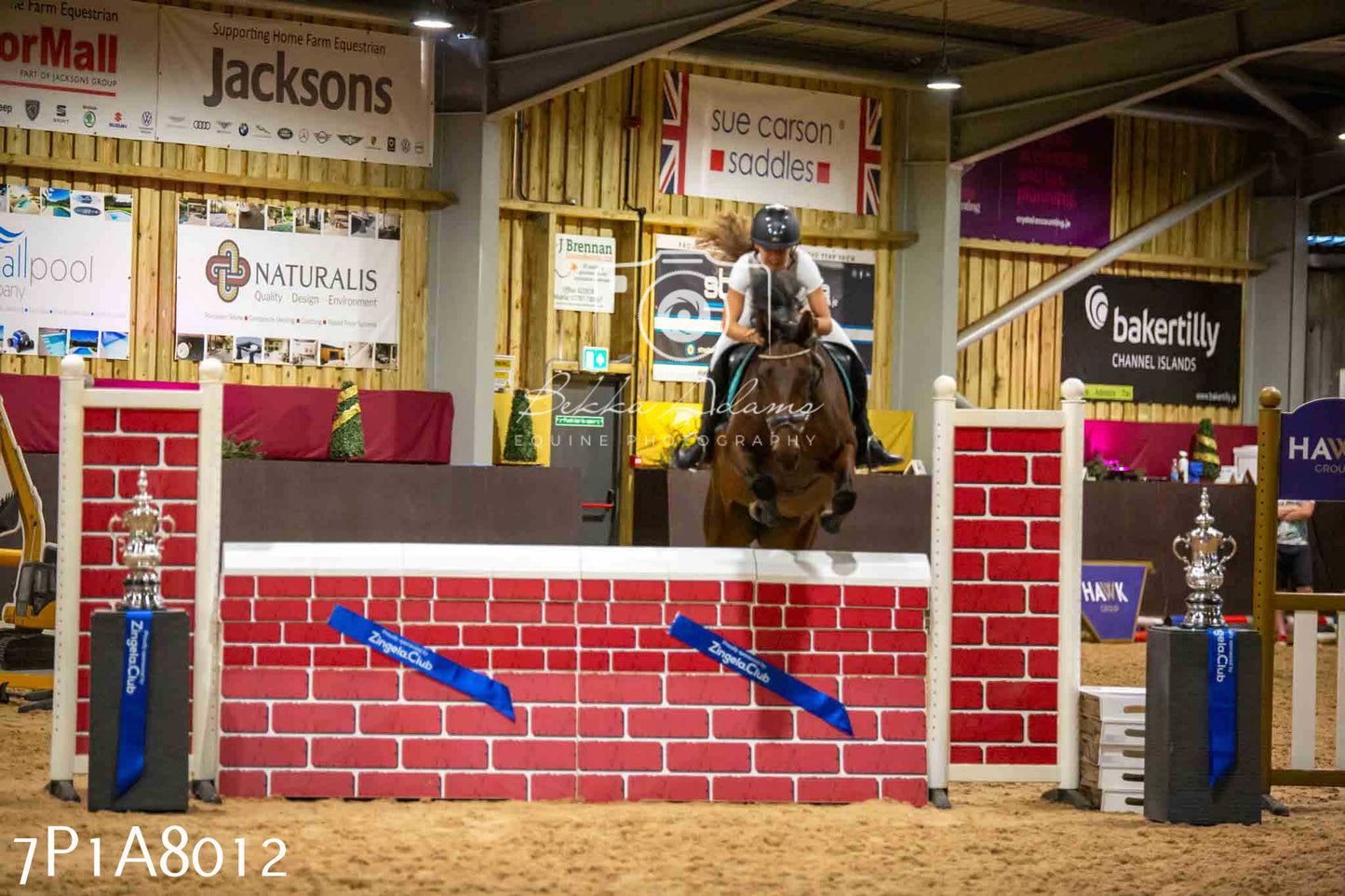 JHOYS 2023 - 17th September - Show Jumping Pt2