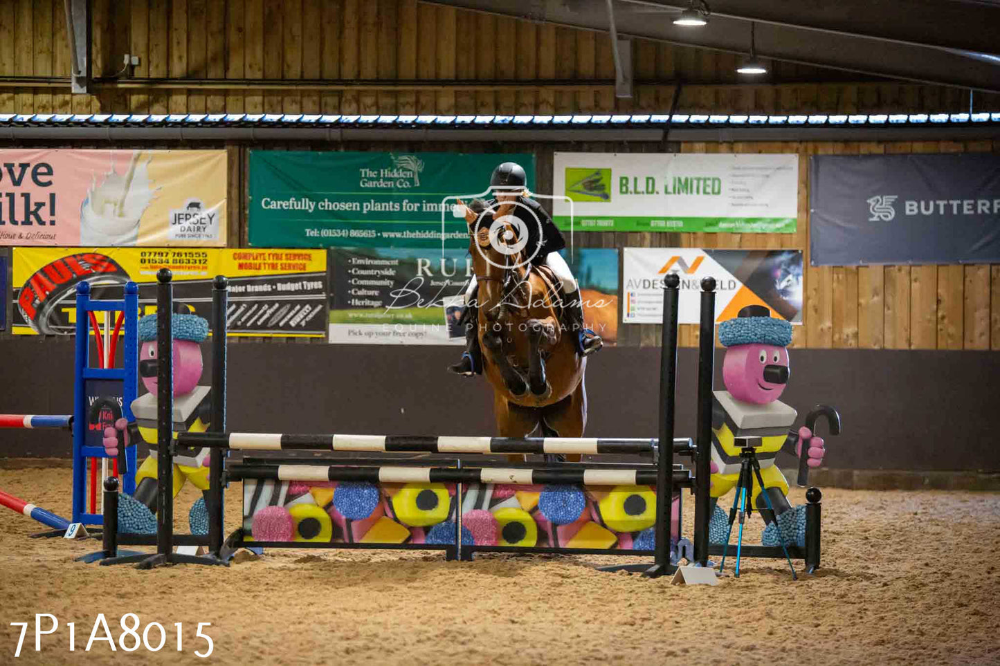 JHOYS 2023 - 17th September - Show Jumping Pt2