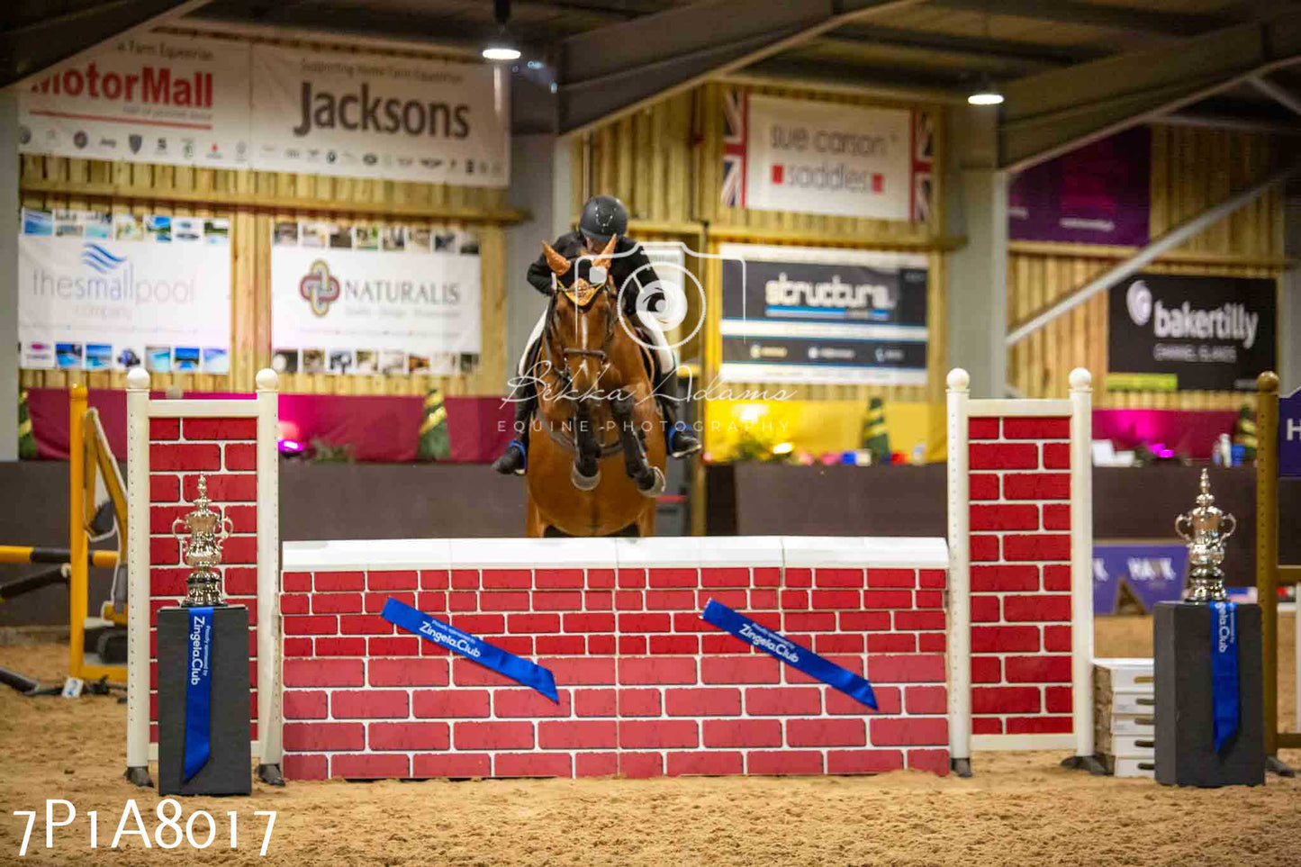 JHOYS 2023 - 17th September - Show Jumping Pt2