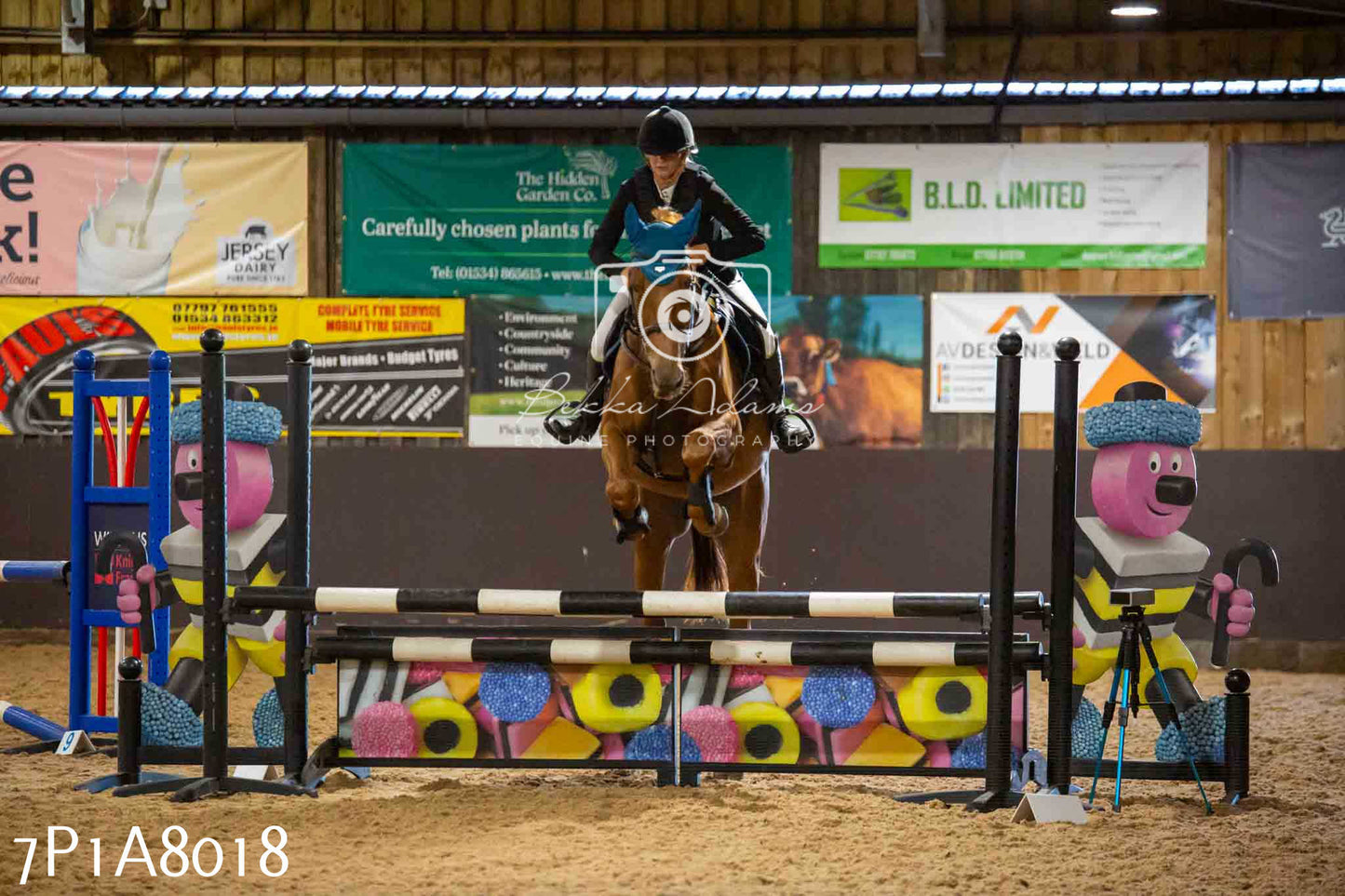 JHOYS 2023 - 17th September - Show Jumping Pt2