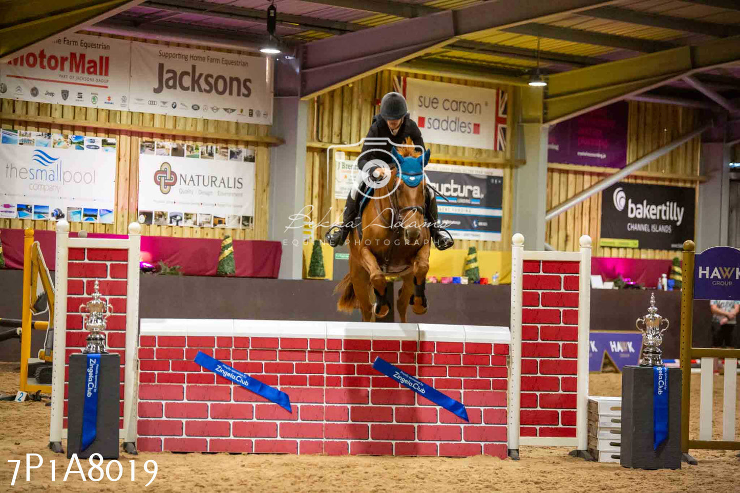 JHOYS 2023 - 17th September - Show Jumping Pt2