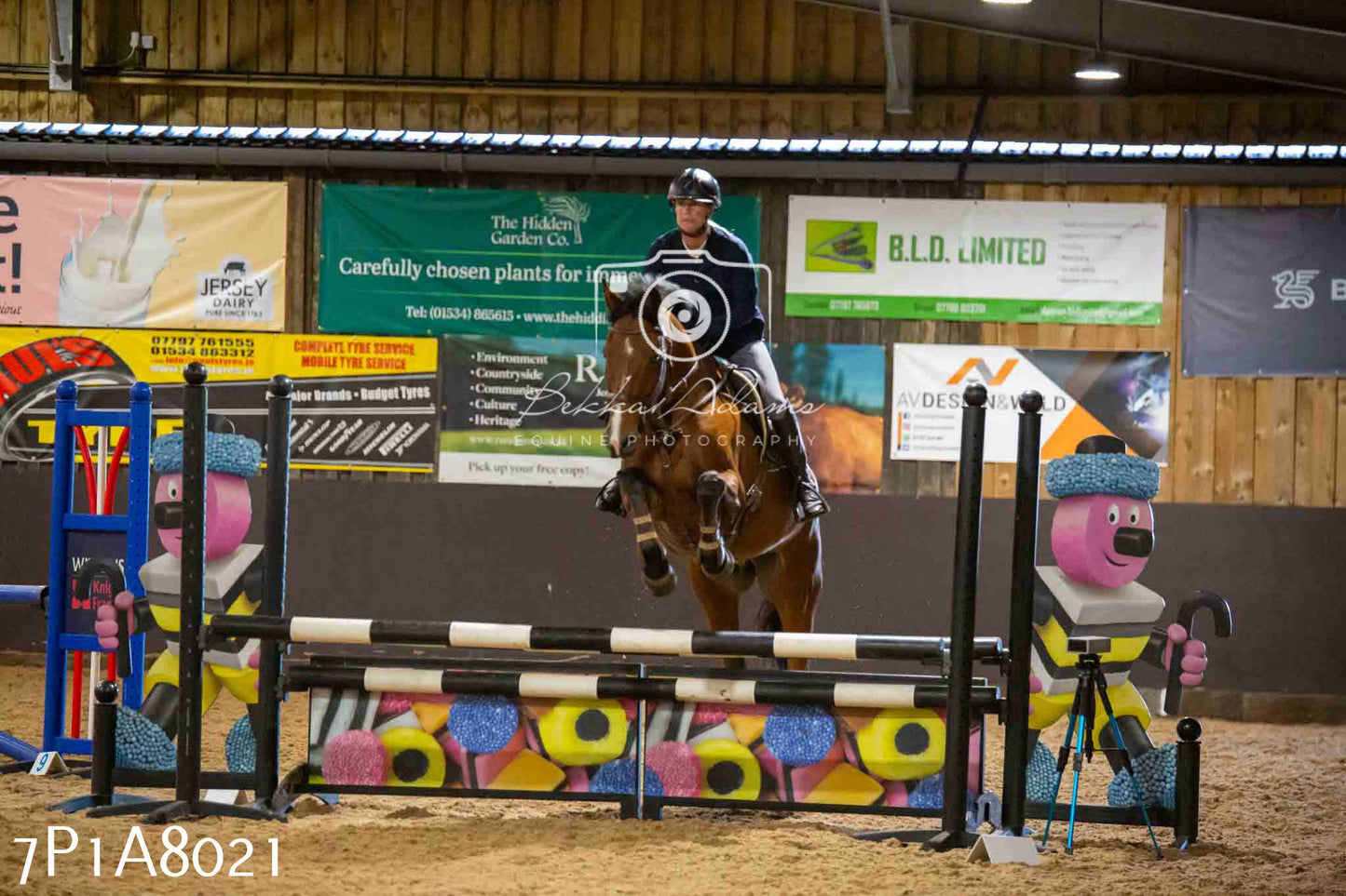 JHOYS 2023 - 17th September - Show Jumping Pt2