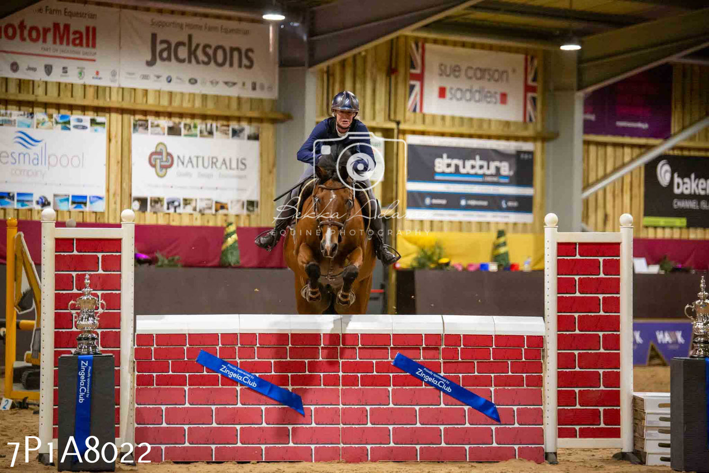 JHOYS 2023 - 17th September - Show Jumping Pt2