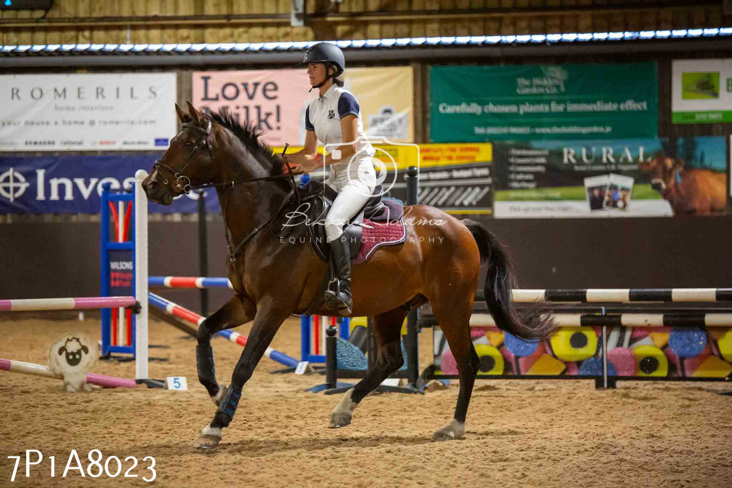 JHOYS 2023 - 17th September - Show Jumping Pt2