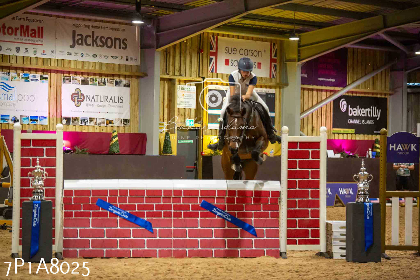 JHOYS 2023 - 17th September - Show Jumping Pt2