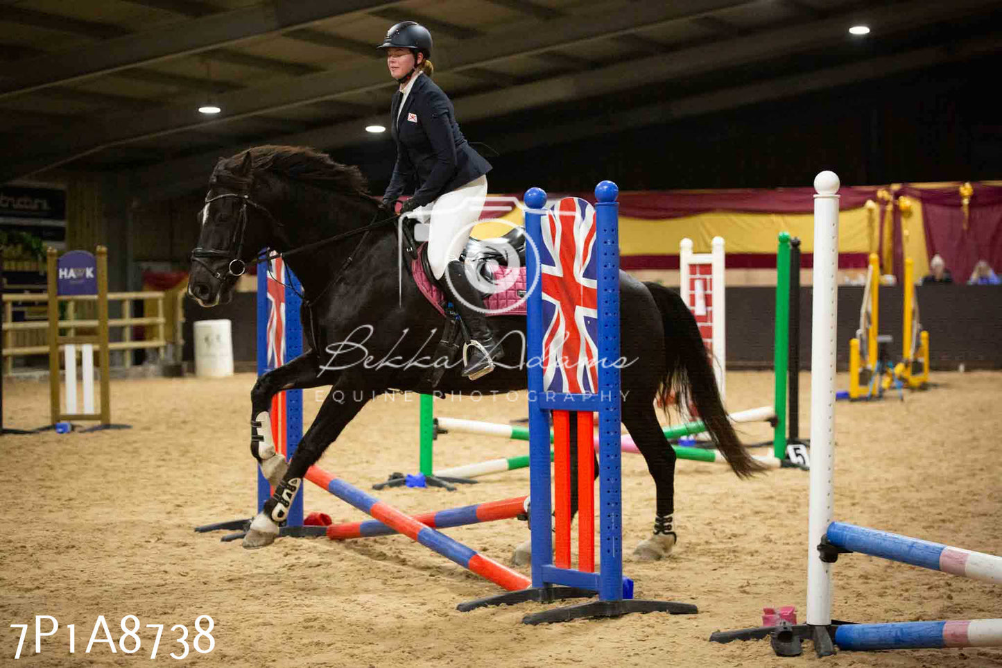 Home Farm Jumping 14th January  2024 - Seniors