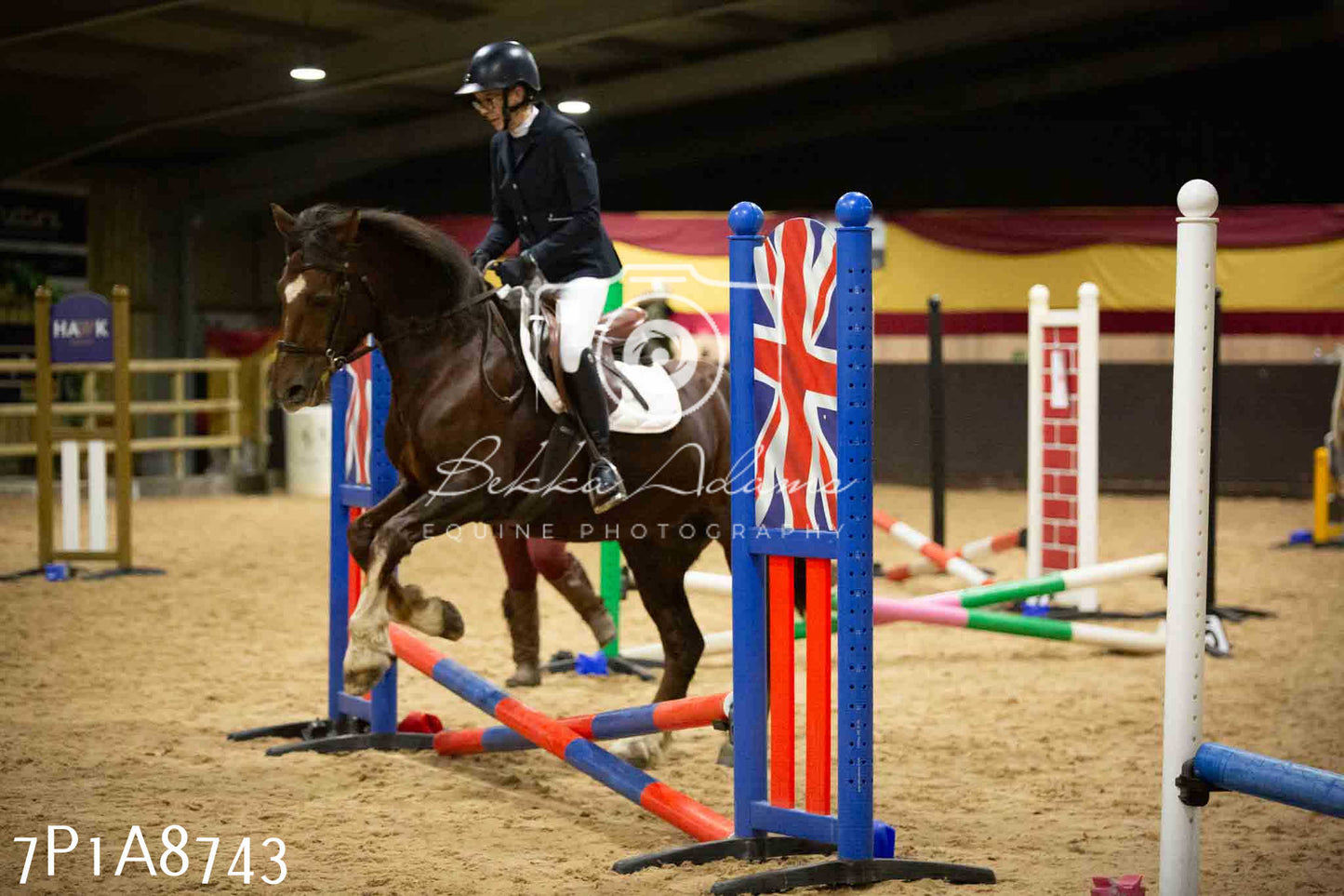 Home Farm Jumping 14th January  2024 - Seniors