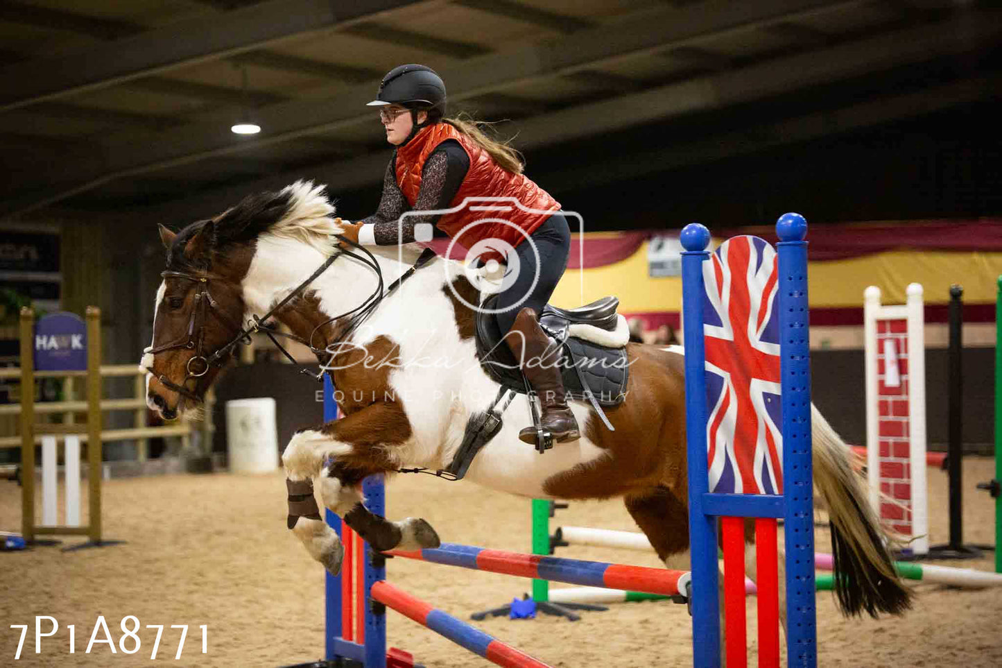 Home Farm Jumping 14th January  2024 - Seniors