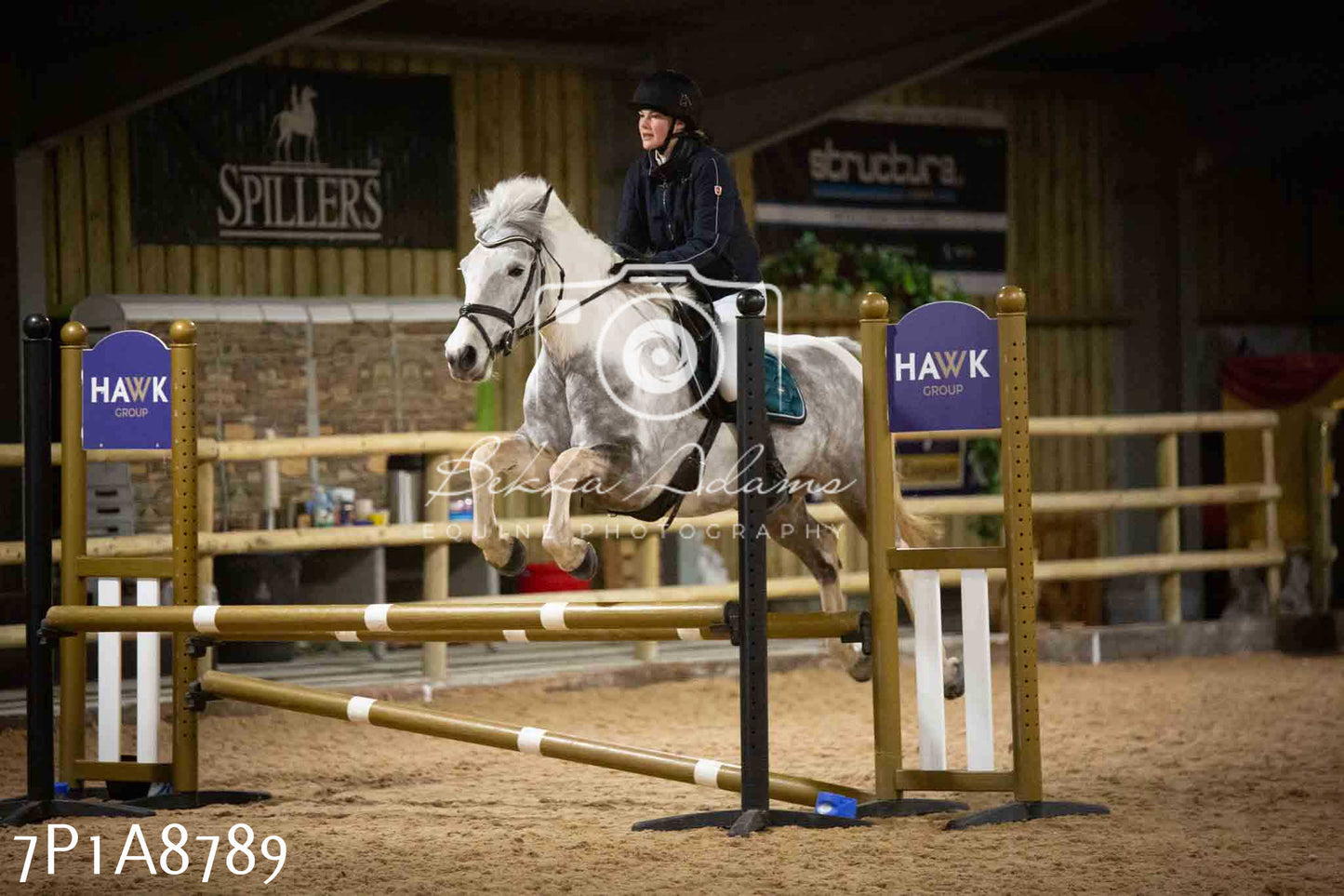 Home Farm Jumping 14th January  2024 - Seniors