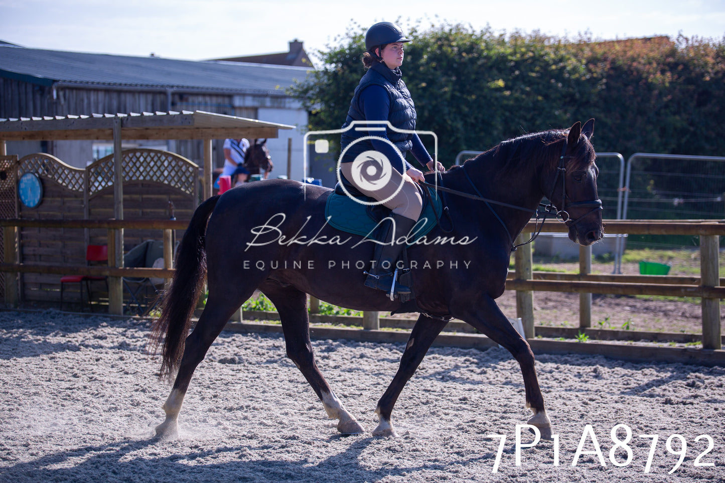 Home Farm Evening Show Jumping 11th June 2025