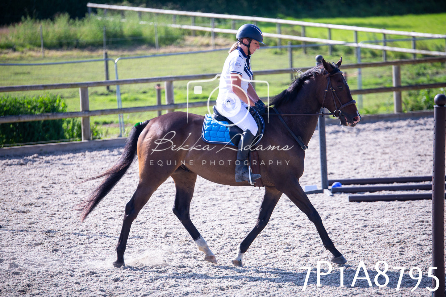 Home Farm Evening Show Jumping 11th June 2025