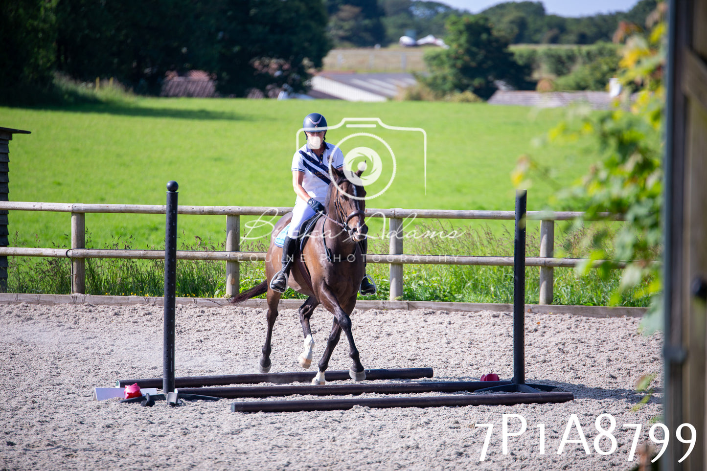 Home Farm Evening Show Jumping 11th June 2025
