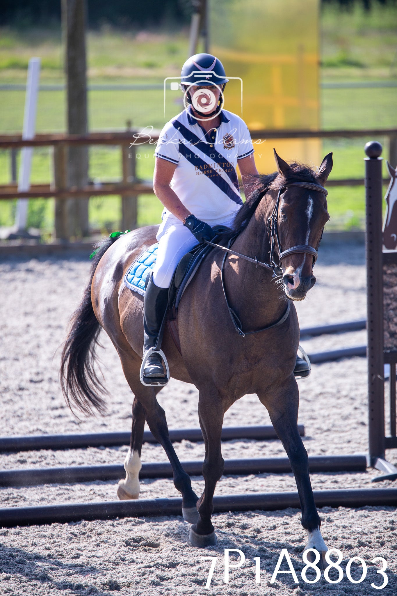 Home Farm Evening Show Jumping 11th June 2025