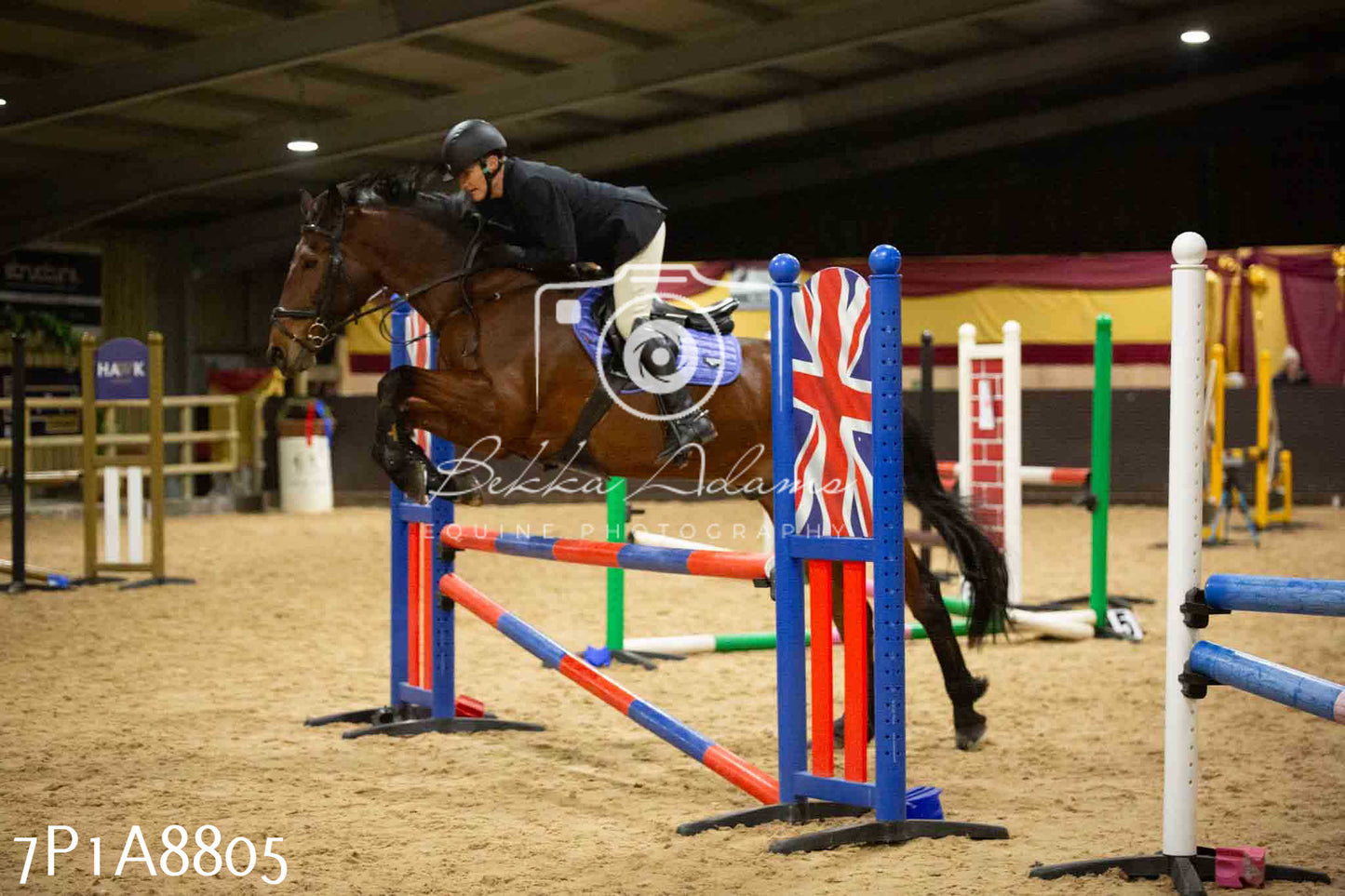 Home Farm Jumping 14th January  2024 - Seniors