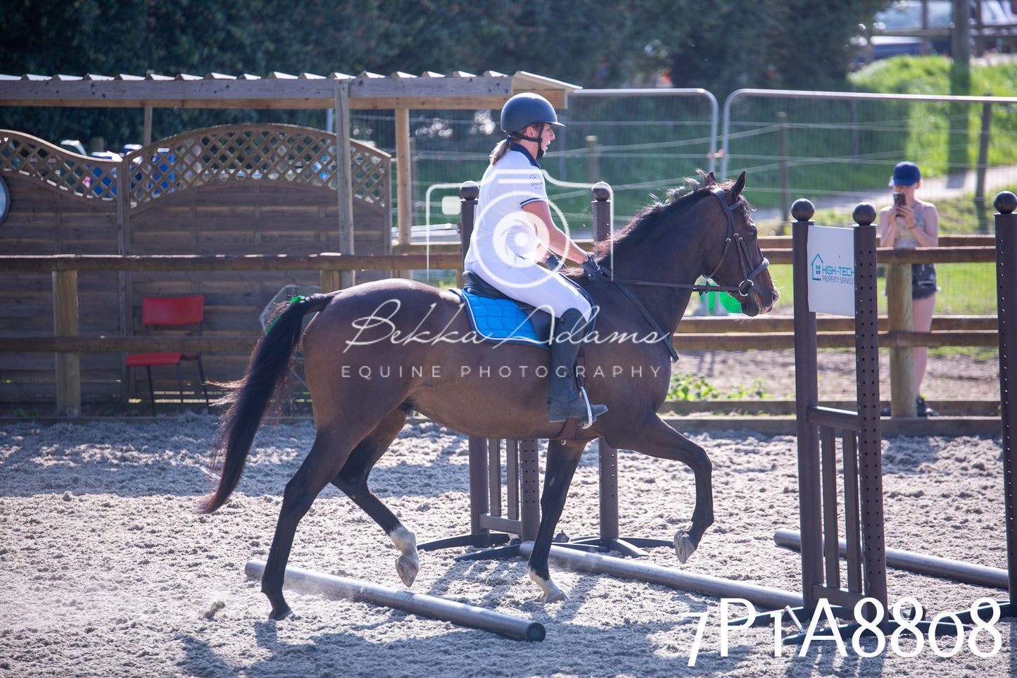 Home Farm Evening Show Jumping 11th June 2025