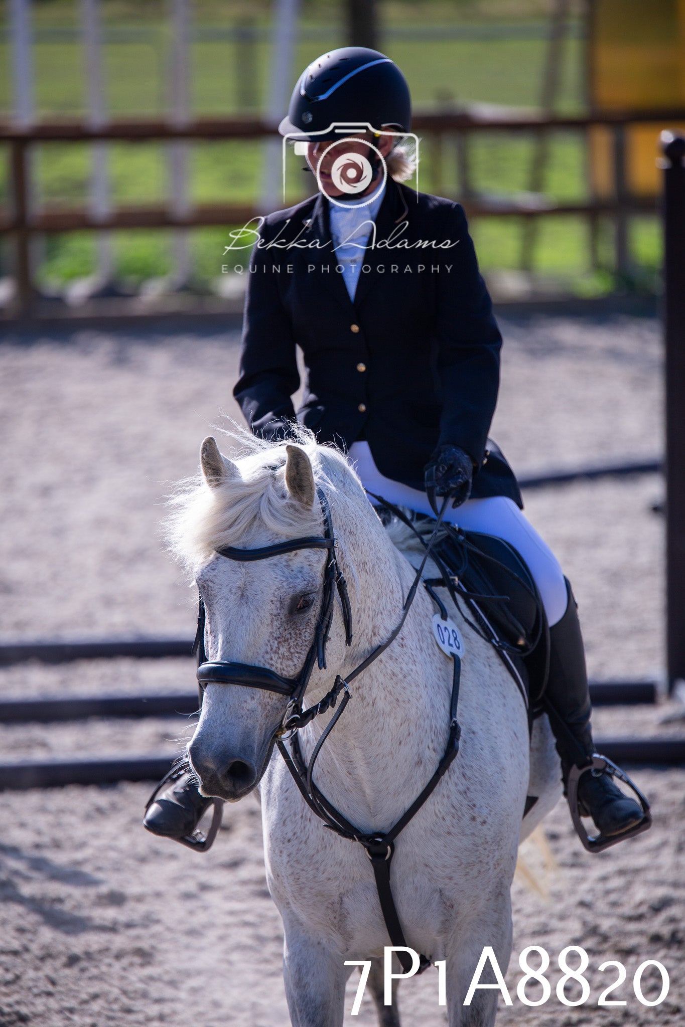 Home Farm Evening Show Jumping 11th June 2025