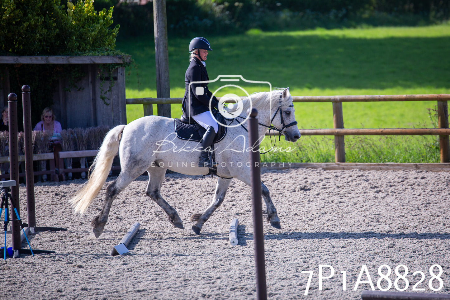 Home Farm Evening Show Jumping 11th June 2025