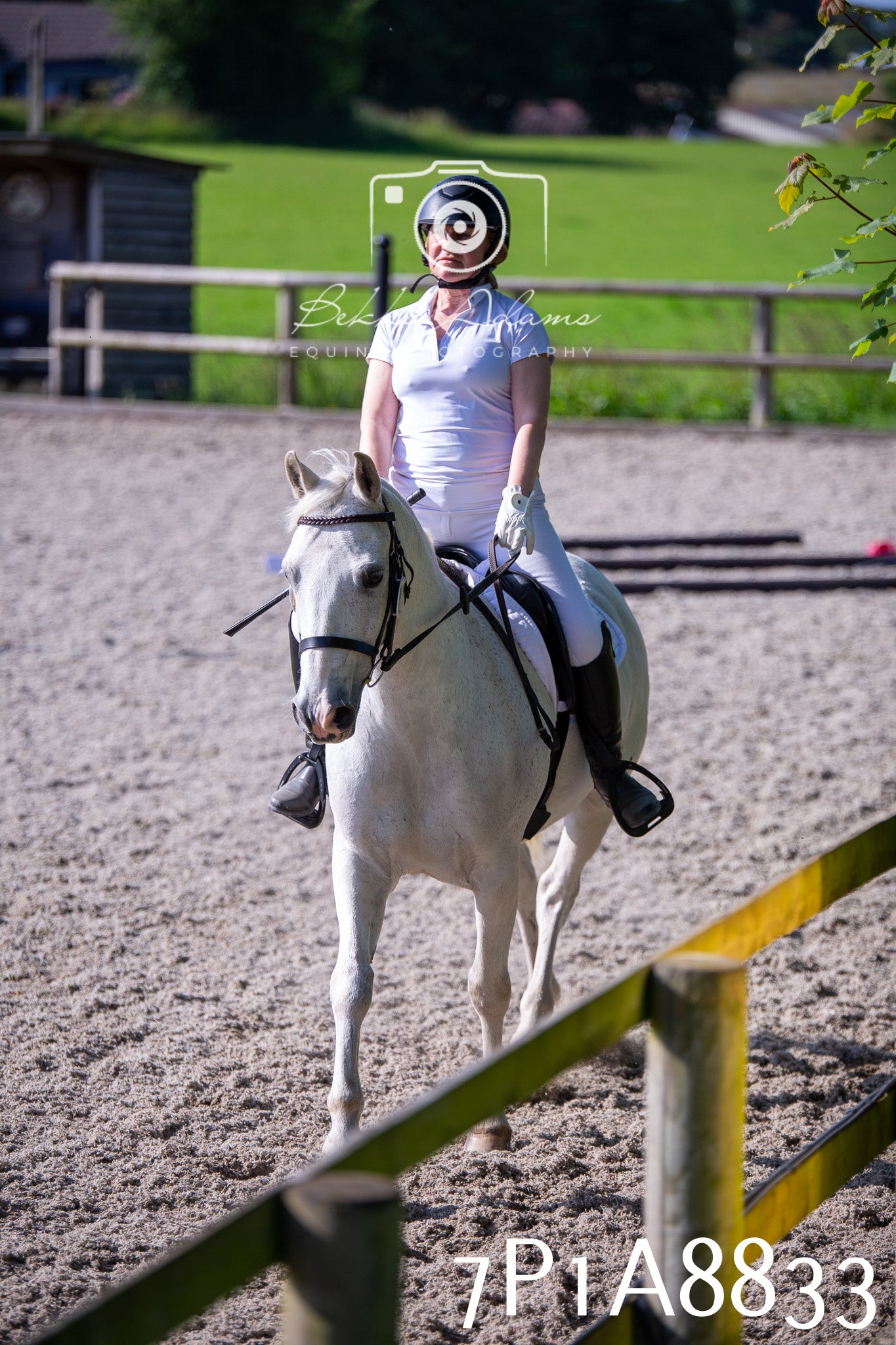 Home Farm Evening Show Jumping 11th June 2025