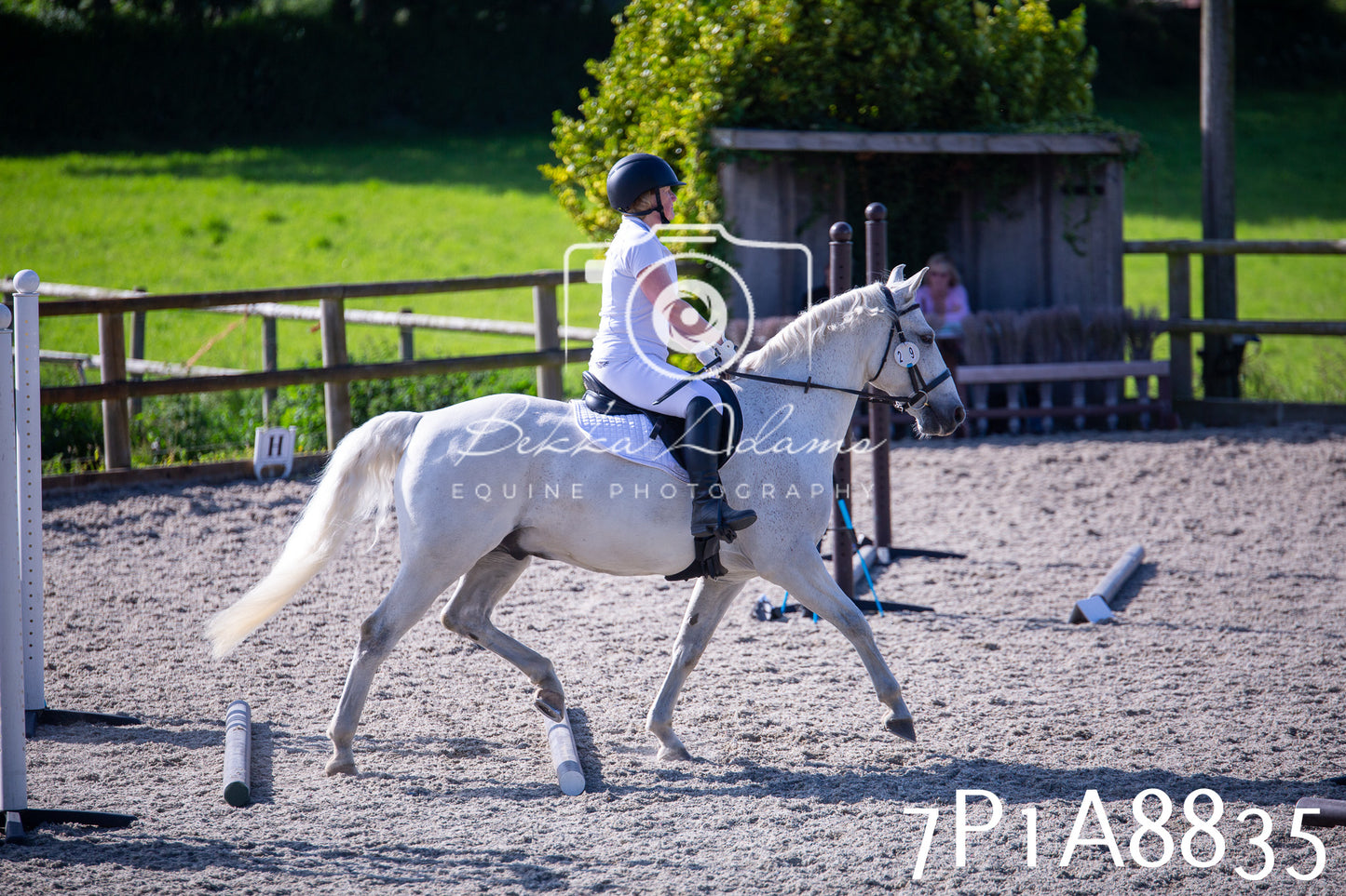 Home Farm Evening Show Jumping 11th June 2025