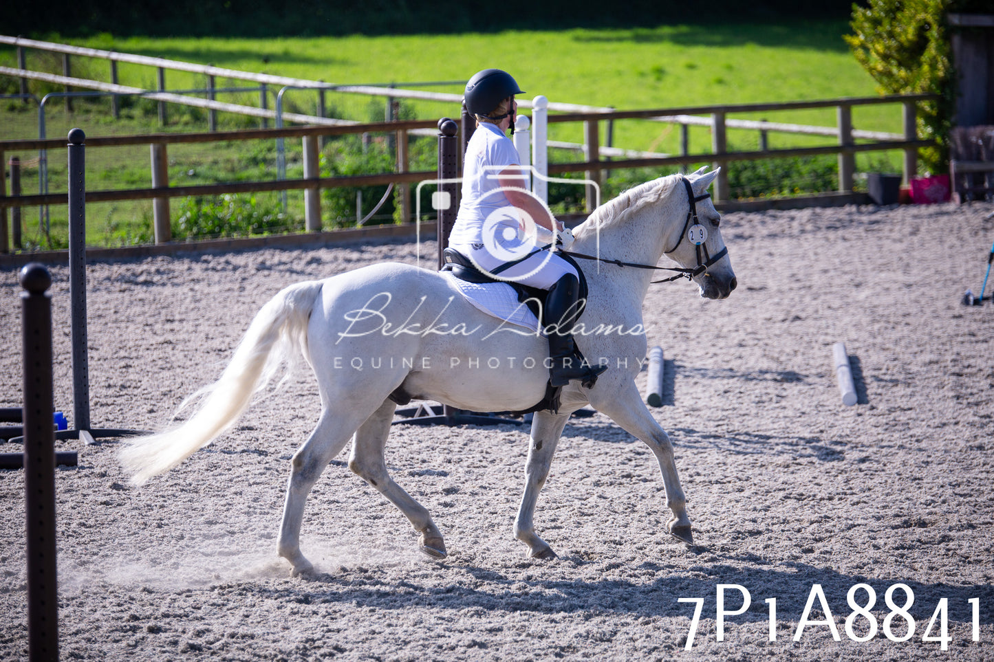 Home Farm Evening Show Jumping 11th June 2025