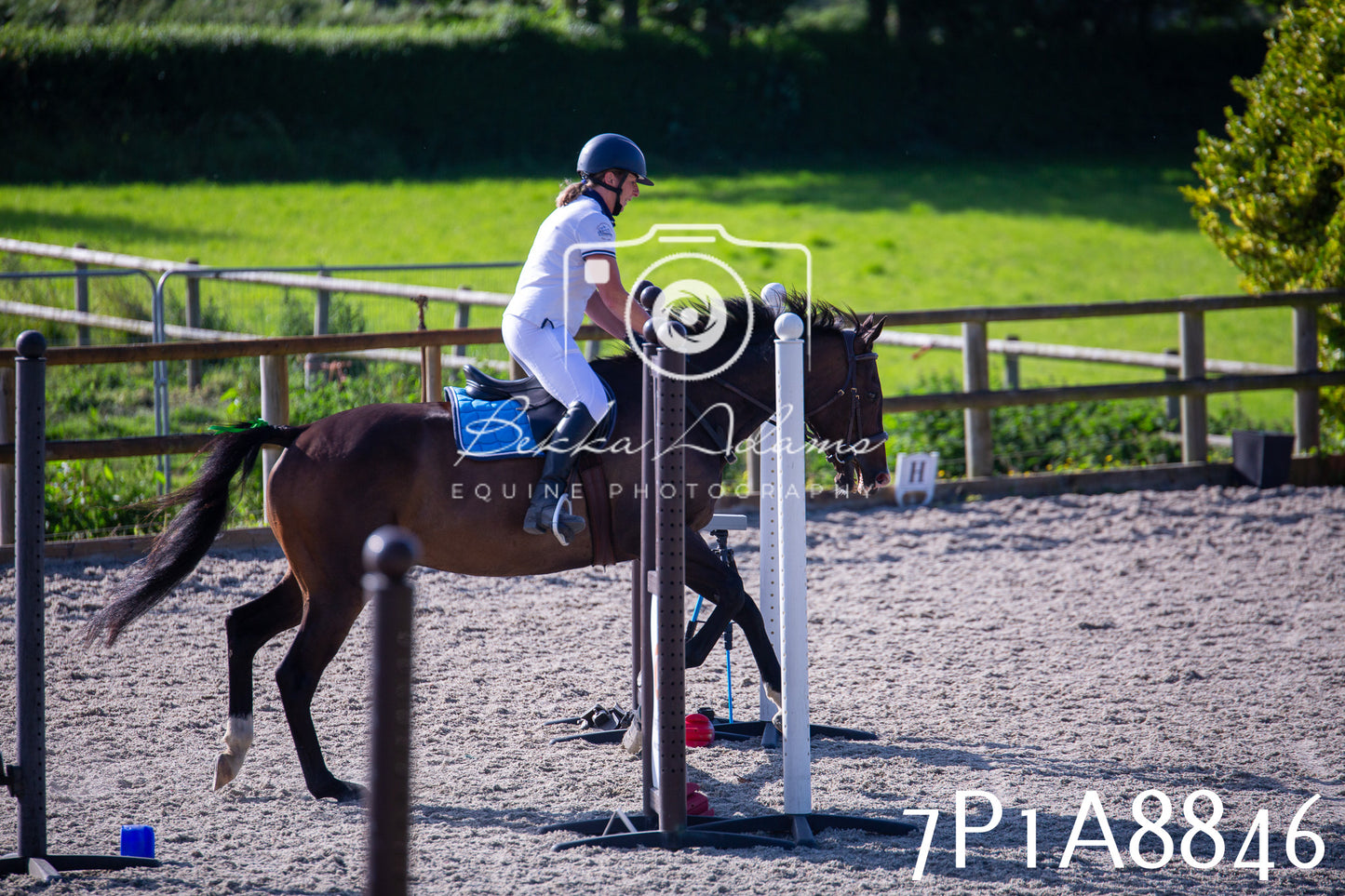 Home Farm Evening Show Jumping 11th June 2025