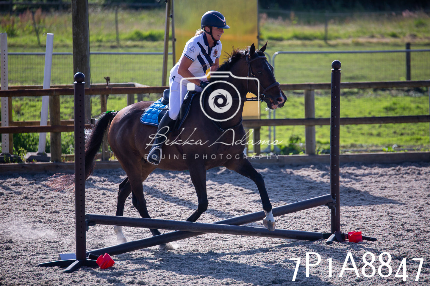 Home Farm Evening Show Jumping 11th June 2025